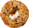 CAMPFIRE CRUSH (SMORES)